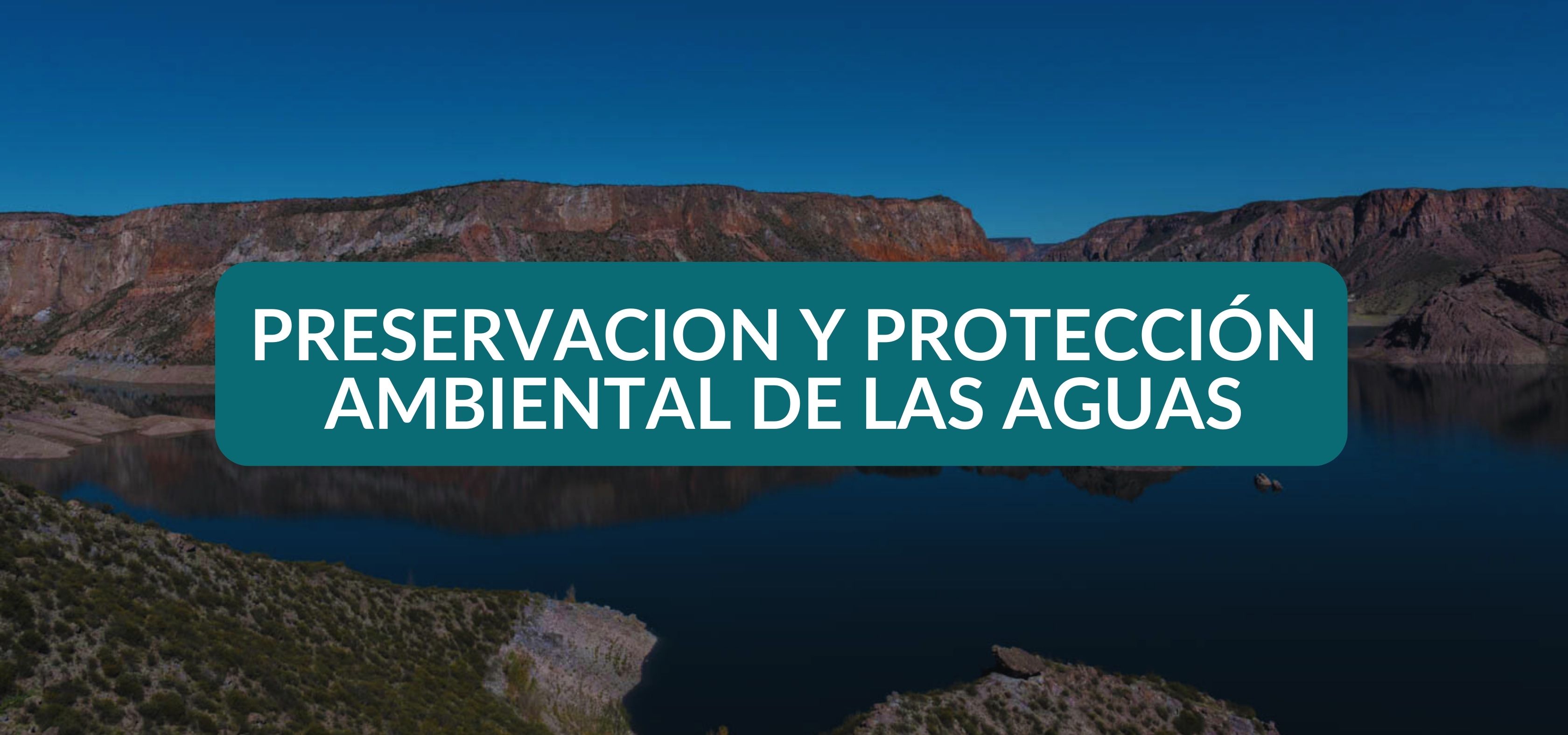 Título III. Preservación y protección ambiental de las aguas
